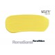 SELFY DECOR 240 CC ROMA SARISI