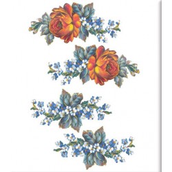 KOLAY TRANSFER KÜÇÜK AÇIK ZEMİN 5504