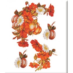 KOLAY TRANSFER KÜÇÜK AÇIK ZEMİN 5506