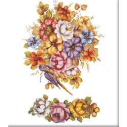 KOLAY TRANSFER KÜÇÜK AÇIK ZEMİN 5508