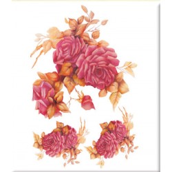 KOLAY TRANSFER KÜÇÜK AÇIK ZEMİN 5510