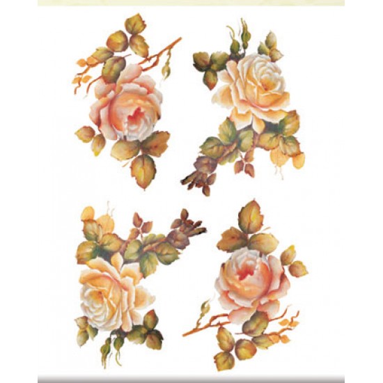 KOLAY TRANSFER KÜÇÜK AÇIK ZEMİN 5512