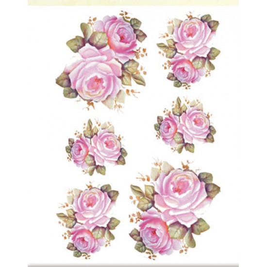 KOLAY TRANSFER KÜÇÜK AÇIK ZEMİN 5518