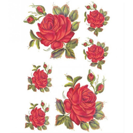 KOLAY TRANSFER KÜÇÜK AÇIK ZEMİN 5524