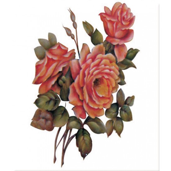 KOLAY TRANSFER KÜÇÜK AÇIK ZEMİN 5534