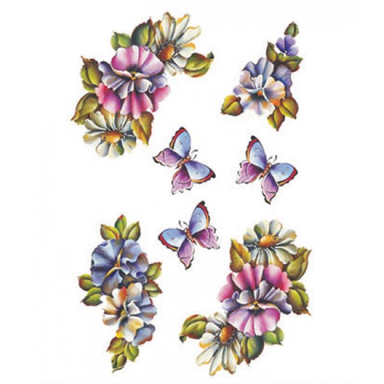 KOLAY TRANSFER KÜÇÜK AÇIK ZEMİN 5538