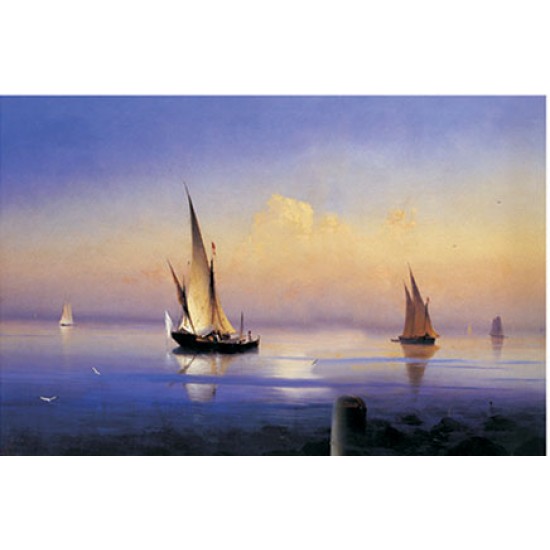 KOLAY TRANSFER KÜÇÜK AÇIK ZEMİN 5572