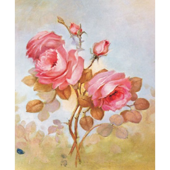 KOLAY TRANSFER BÜYÜK KOYU ZEMİN 6088