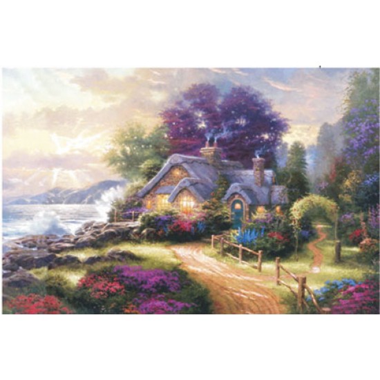 KOLAY TRANSFER BÜYÜK KOYU ZEMİN 6192