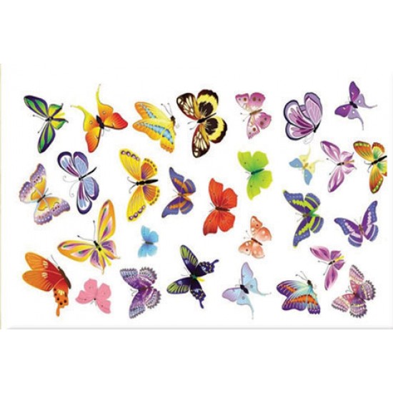 KOLAY TRANSFER BÜYÜK KOYU ZEMİN 6256