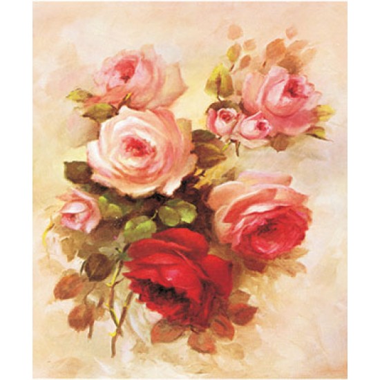 KOLAY TRANSFER BÜYÜK AÇIK ZEMİN 6586