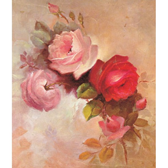 KOLAY TRANSFER BÜYÜK AÇIK ZEMİN 6590