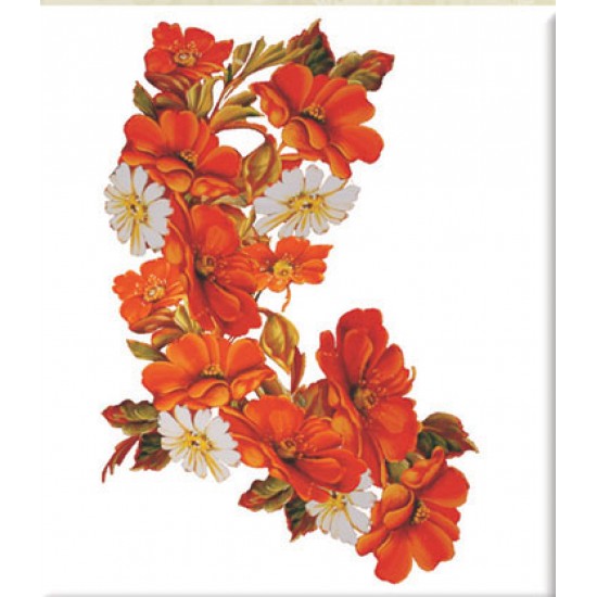 KOLAY TRANSFER BÜYÜK AÇIK ZEMİN 6622