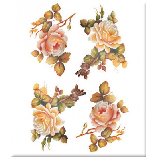 KOLAY TRANSFER BÜYÜK AÇIK ZEMİN 6624