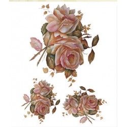 KOLAY TRANSFER BÜYÜK AÇIK ZEMİN 6636