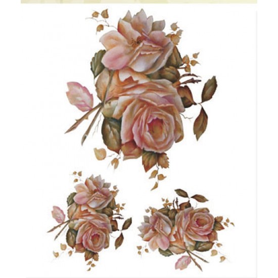 KOLAY TRANSFER BÜYÜK AÇIK ZEMİN 6636