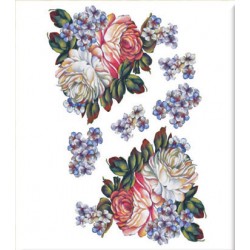 KOLAY TRANSFER BÜYÜK AÇIK ZEMİN 6644