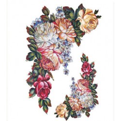 KOLAY TRANSFER BÜYÜK AÇIK ZEMİN 6646