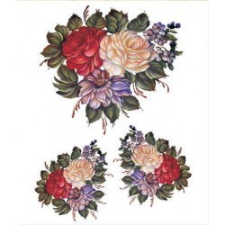 KOLAY TRANSFER BÜYÜK AÇIK ZEMİN 6650