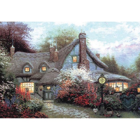 KOLAY TRANSFER BÜYÜK AÇIK ZEMİN 6686