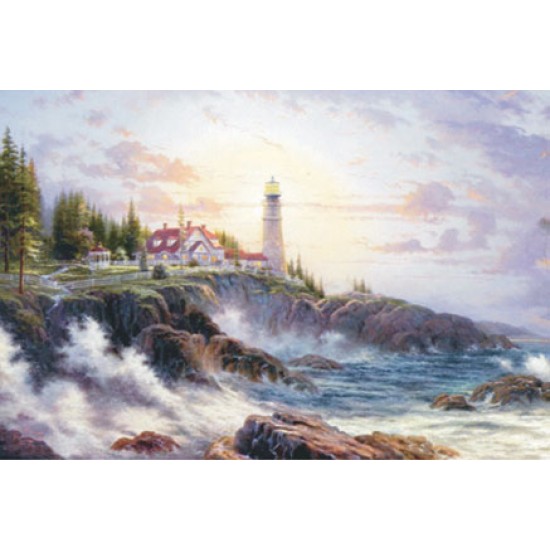 KOLAY TRANSFER BÜYÜK AÇIK ZEMİN 6690