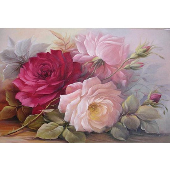 KOLAY TRANSFER BÜYÜK AÇIK ZEMİN 6716