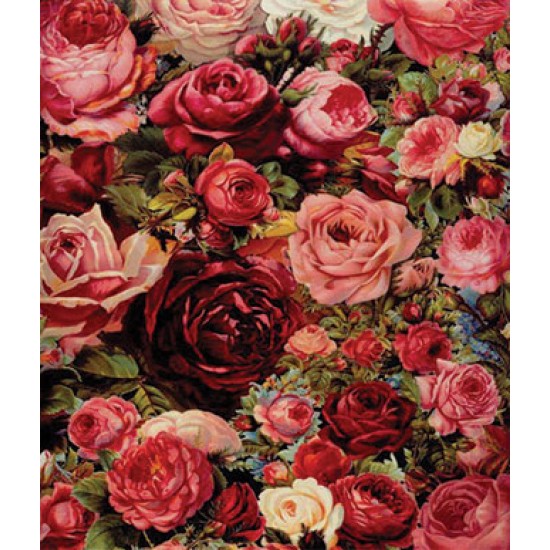 KOLAY TRANSFER BÜYÜK AÇIK ZEMİN 6726