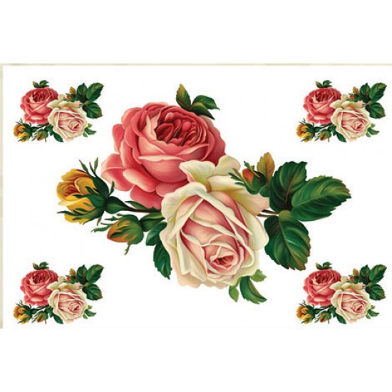 KOLAY TRANSFER BÜYÜK AÇIK ZEMİN 6730