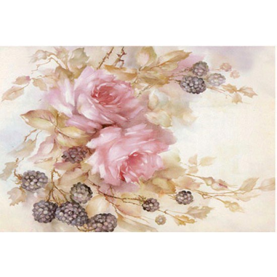 KOLAY TRANSFER BÜYÜK AÇIK ZEMİN 6746