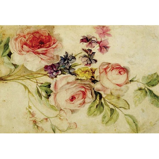 KOLAY TRANSFER BÜYÜK AÇIK ZEMİN 6748