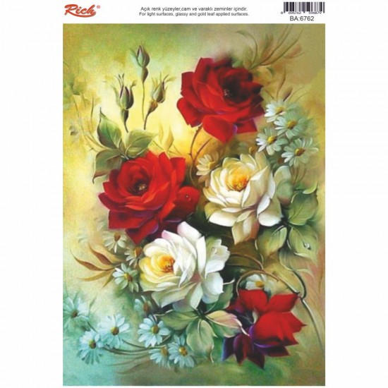 KOLAY TRANSFER BÜYÜK AÇIK ZEMİN 6762