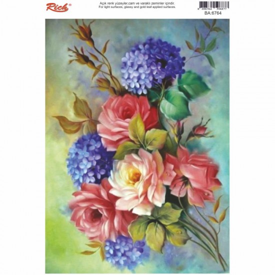 KOLAY TRANSFER BÜYÜK AÇIK ZEMİN 6764