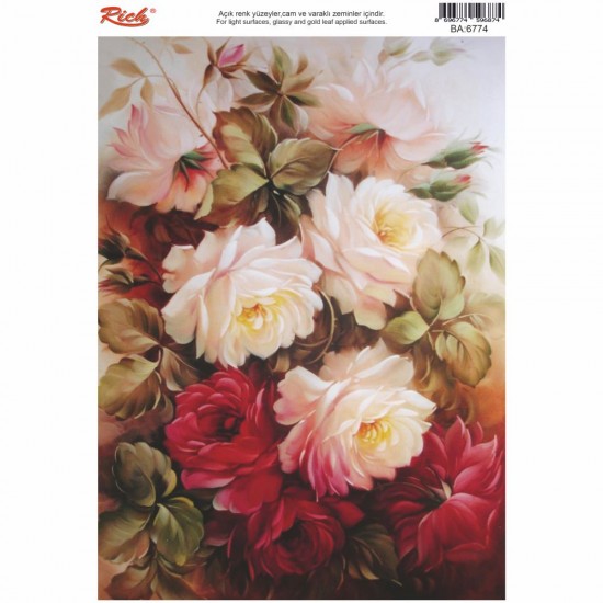 KOLAY TRANSFER BÜYÜK AÇIK ZEMİN 6774