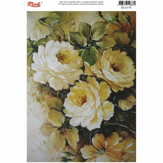 KOLAY TRANSFER BÜYÜK AÇIK ZEMİN 6776