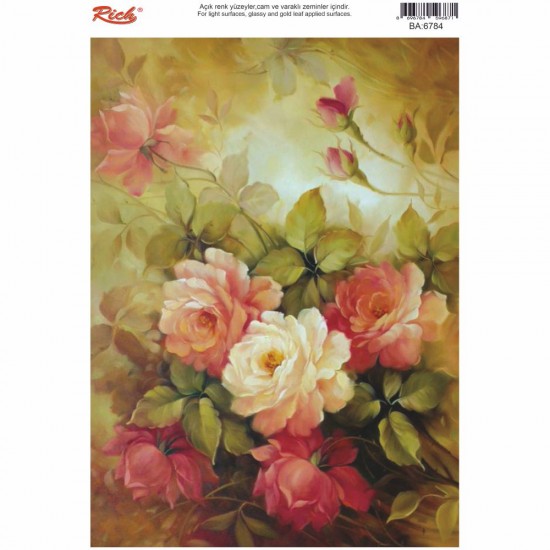 KOLAY TRANSFER BÜYÜK AÇIK ZEMİN 6784