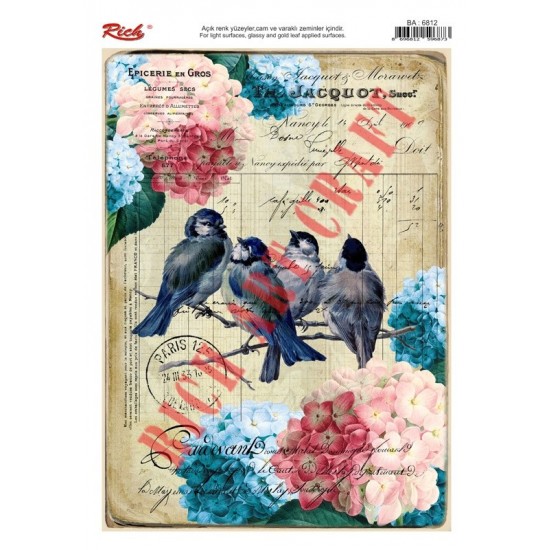 KOLAY TRANSFER BÜYÜK AÇIK ZEMİN 6812