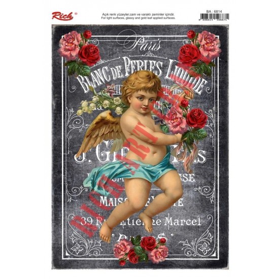 KOLAY TRANSFER BÜYÜK AÇIK ZEMİN 6814