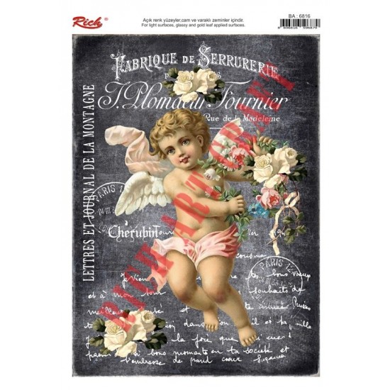 KOLAY TRANSFER BÜYÜK AÇIK ZEMİN 6816