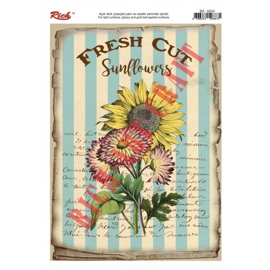 KOLAY TRANSFER BÜYÜK AÇIK ZEMİN 6834