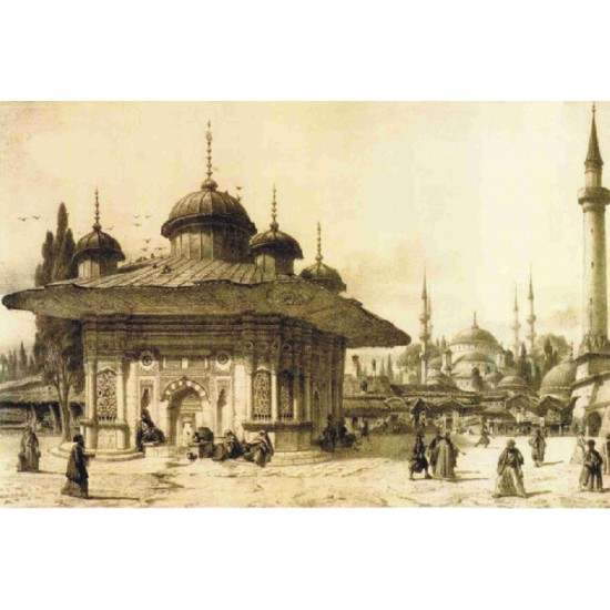 KOLAY TRANSFER DEV BOY AÇIK ZEMİN 8702