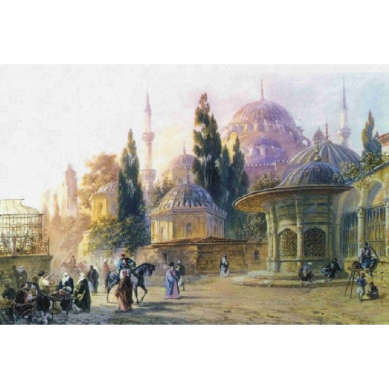 KOLAY TRANSFER DEV BOY AÇIK ZEMİN 8706