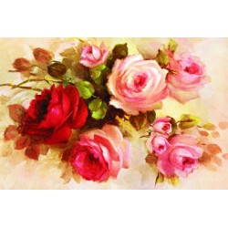 KOLAY TRANSFER DEV BOY AÇIK ZEMİN 8718