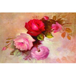 KOLAY TRANSFER DEV BOY AÇIK ZEMİN 8720