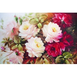 KOLAY TRANSFER DEV BOY AÇIK ZEMİN 8722