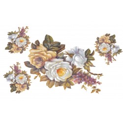 KOLAY TRANSFER DEV BOY AÇIK ZEMİN 8726