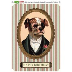 STICKY KENDİNDEN YAPIŞKANLI PİRİNÇ 2004