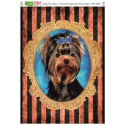 STICKY KENDİNDEN YAPIŞKANLI PİRİNÇ 2005