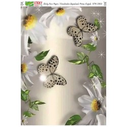STICKY KENDİNDEN YAPIŞKANLI PİRİNÇ 2353